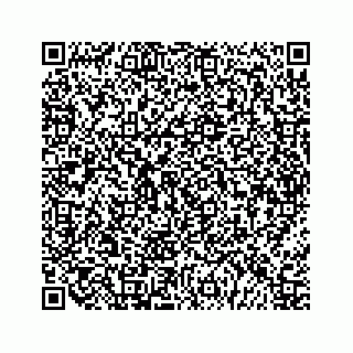 vCard 79991760294