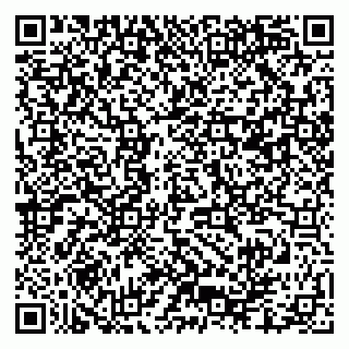 vCard 79991800291