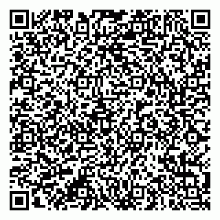 vCard 79991800295
