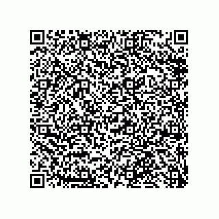 vCard 79992000384