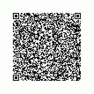 vCard 79992278173