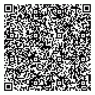 vCard 79992287125