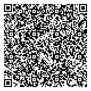 vCard 79992287393