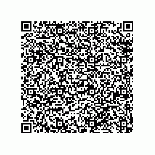 vCard 79992428063