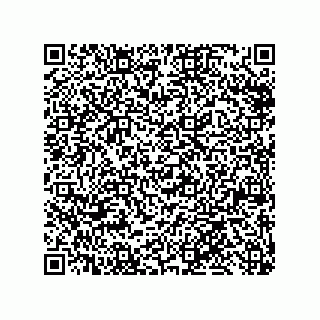 vCard 79992428131