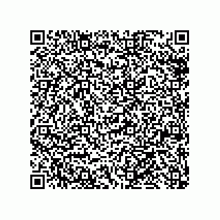 vCard 79992428133
