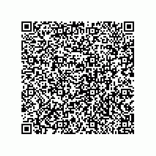 vCard 79992428208