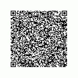 vCard 79992428302