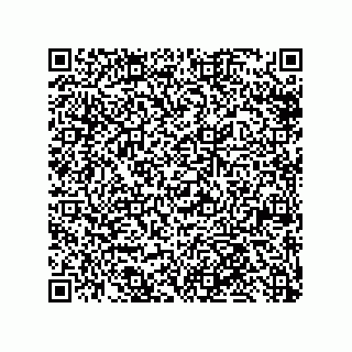 vCard 79992428332