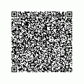 vCard 79992428370