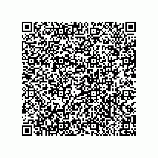 vCard 79992428381