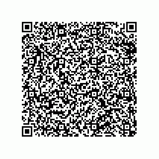 vCard 79992500013