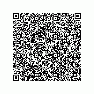 vCard 79992500187