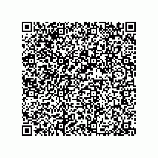 vCard 79992500239