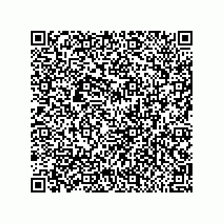 vCard 79992500399