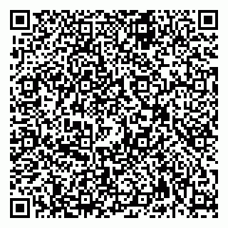 vCard 79992740040