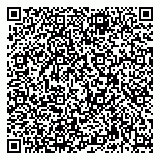 vCard 79992740044