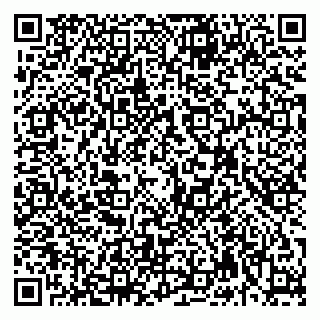 vCard 79992740064