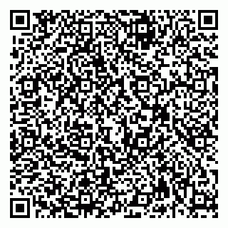 vCard 79992740080