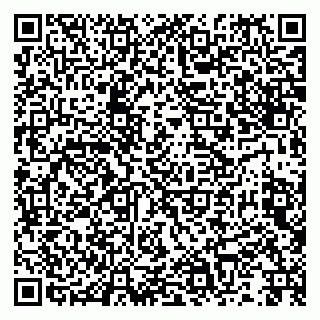 vCard 79992740085