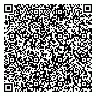 vCard 79992740087