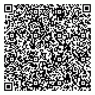 vCard 79992740091