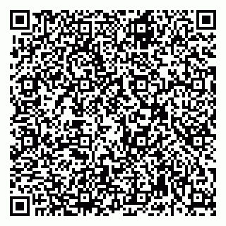 vCard 79992740095
