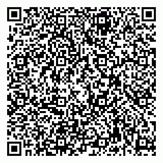 vCard 79992740099