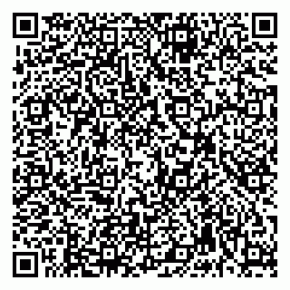 vCard 79992740105