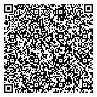 vCard 79992740106