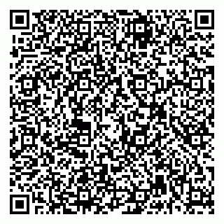 vCard 79992740113
