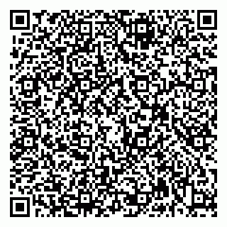 vCard 79992740116