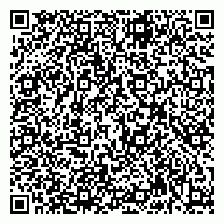 vCard 79992740124