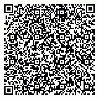 vCard 79992740126
