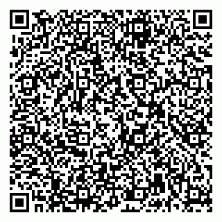 vCard 79992740133