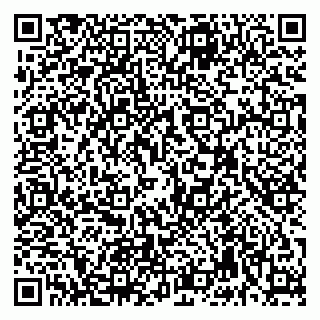 vCard 79992740145