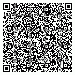 vCard 79992740156