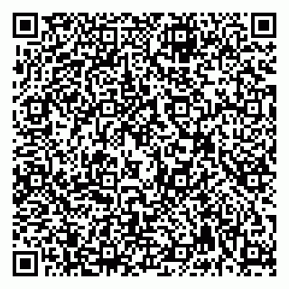vCard 79992740171