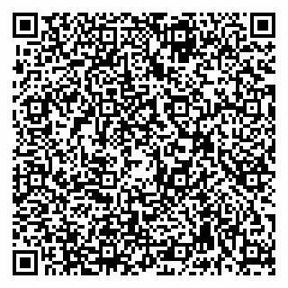 vCard 79992740175