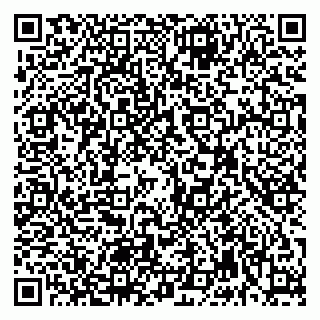 vCard 79992740187