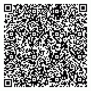 vCard 79992740191