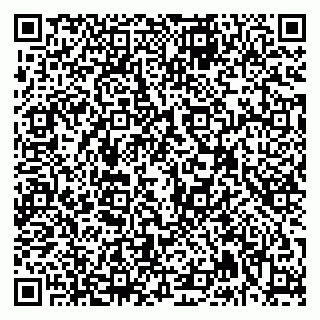 vCard 79992740202