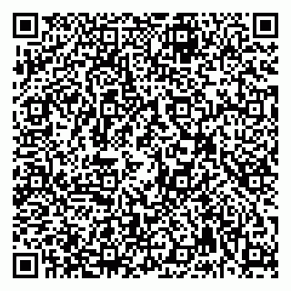 vCard 79992740211