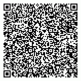 vCard 79992740221
