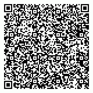 vCard 79992740229