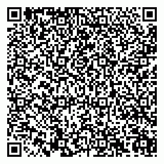 vCard 79992740243