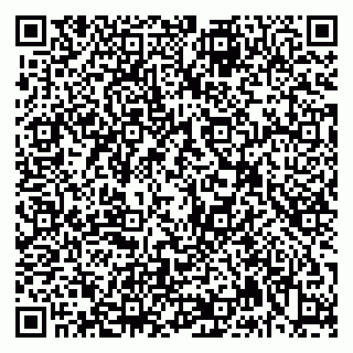 vCard 79992740246