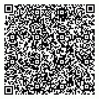 vCard 79992740247