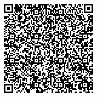 vCard 79992740273