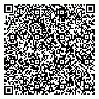 vCard 79992740274